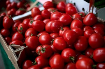 Summer Tomato Tart