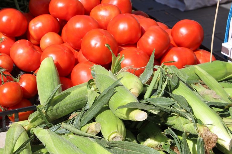 Super Easy Fresh Corn Salad