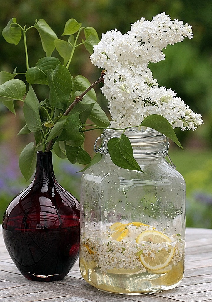 Lavender or Rose Syrup