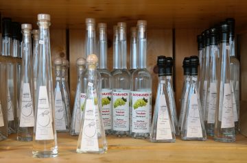 Teresa's Chicken Brandy