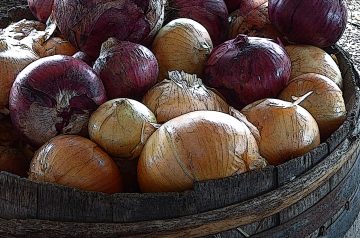 Thanksgiving Stuffed Onions