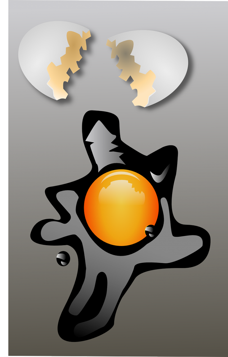 The Humble Fried Egg