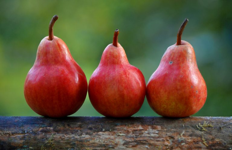 Baked Fresh Pears