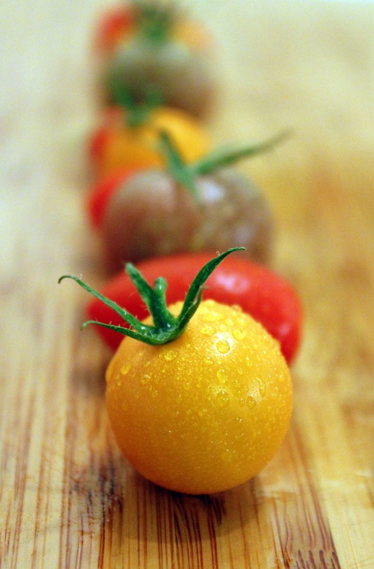 Summer Tomatoes