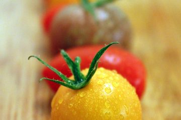 Sauteed Yellow Squash and Tomatoes