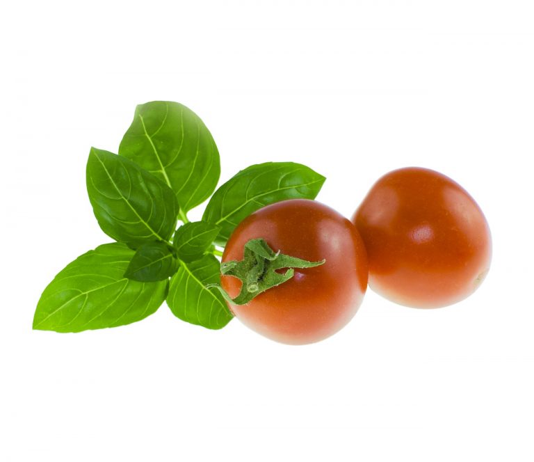 Tomato Rice With Basil