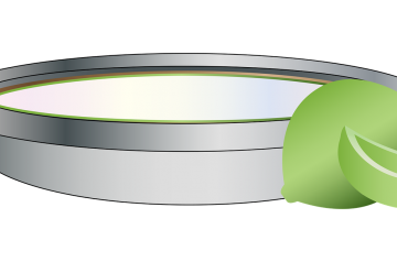 Traditional Key Lime Pie