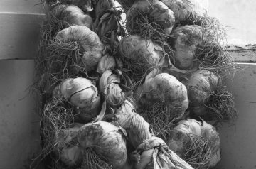 Mizuna With Hot Garlic and Shallot Dressing