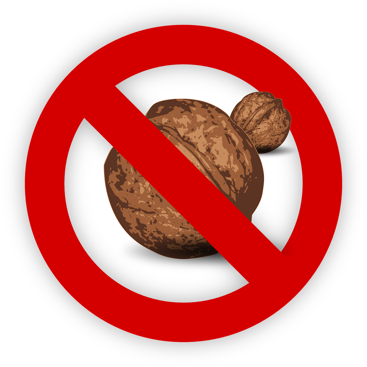 Macadamia Nut Crisps
