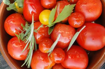 Tuna Steaks with Garlic Lovers' Fresh Tomato Sauce