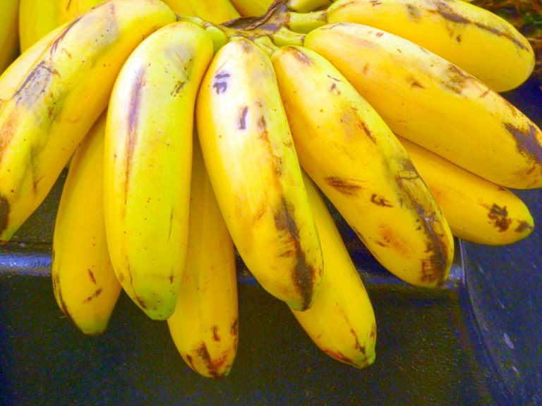 Twice Cooked Plantains