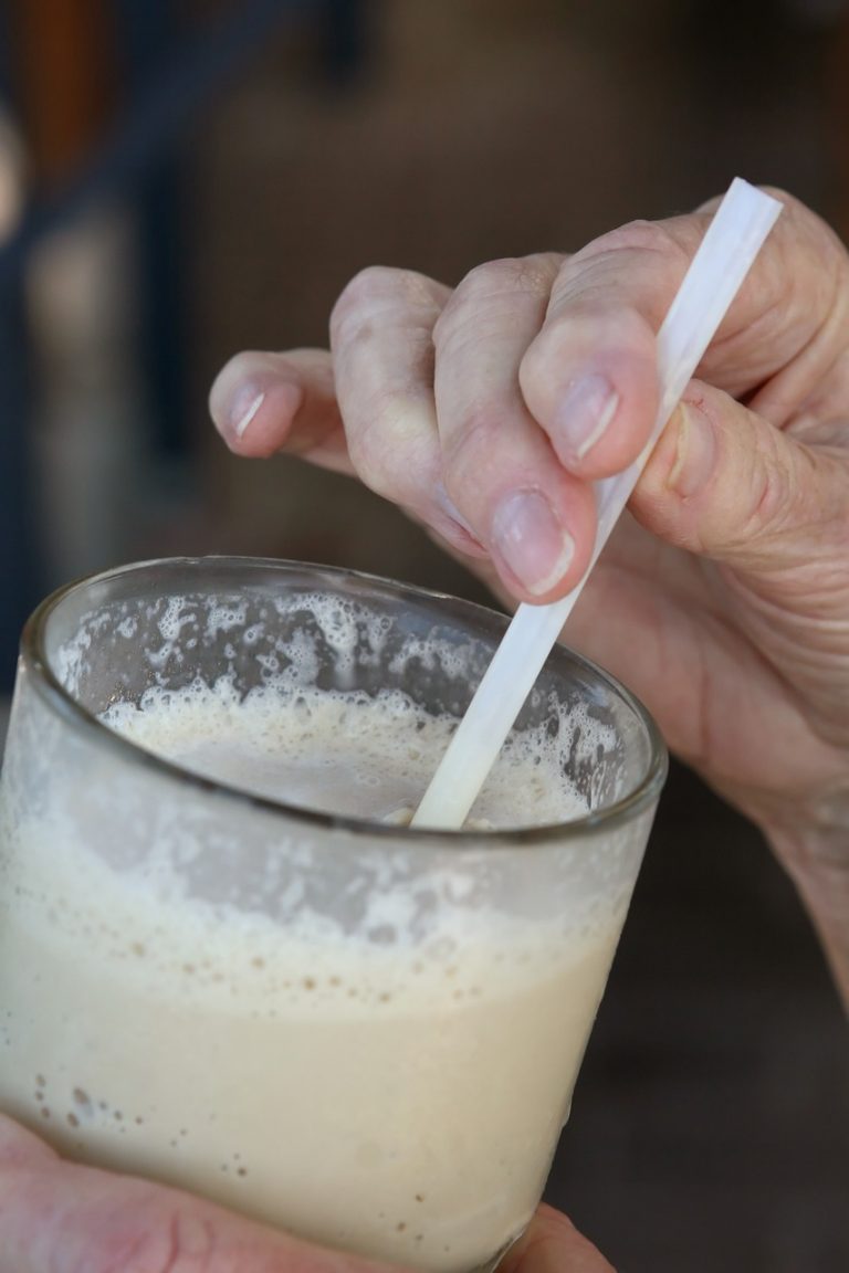 Vanilla Milk Shake