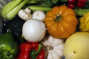 Vegetable Medley Bake