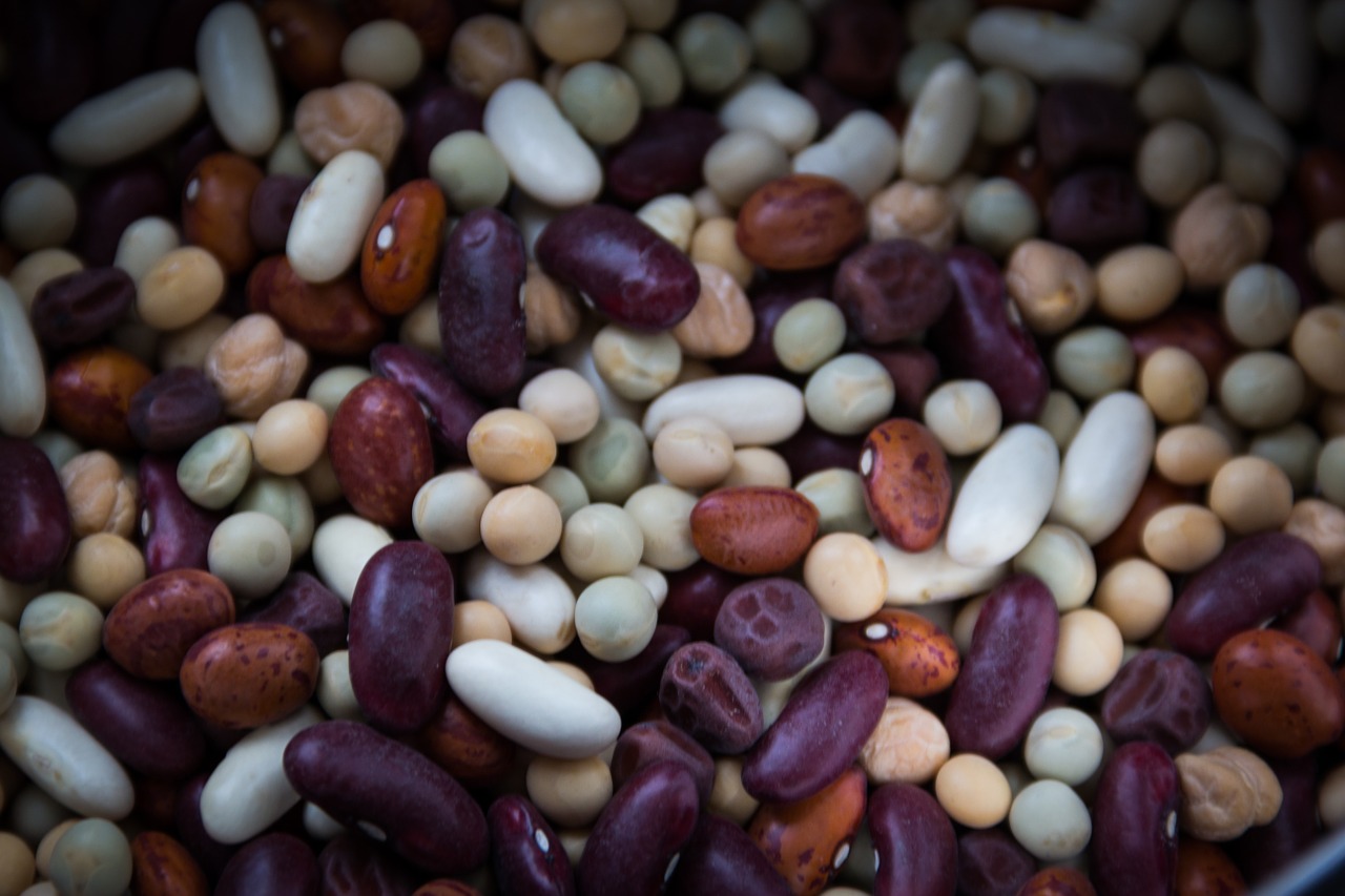 Vegetarian Bean Pasta