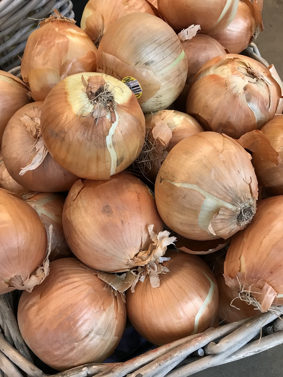 Vidalia Onion and Ham Bruschetta