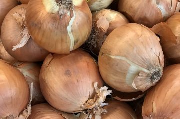 Vidalia Onion Custard