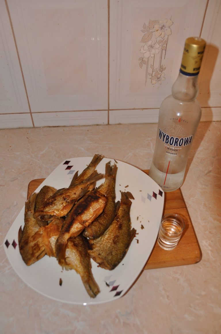 Vodka Paralizer