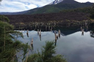 Mom's (Not Really) Chile Verde