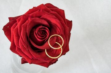 Creamed Chicken over Cornmeal Rings