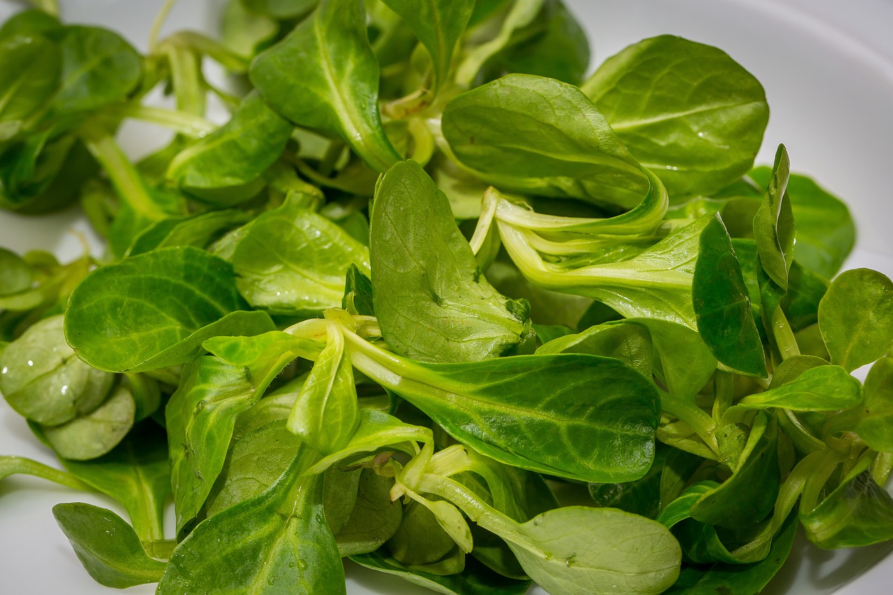 White Corn and Baby Pea Salad