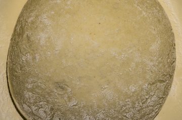 Whole Wheat  Yeast Free  Herbed Pizza Dough