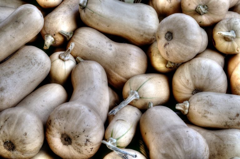 Winter squash bake