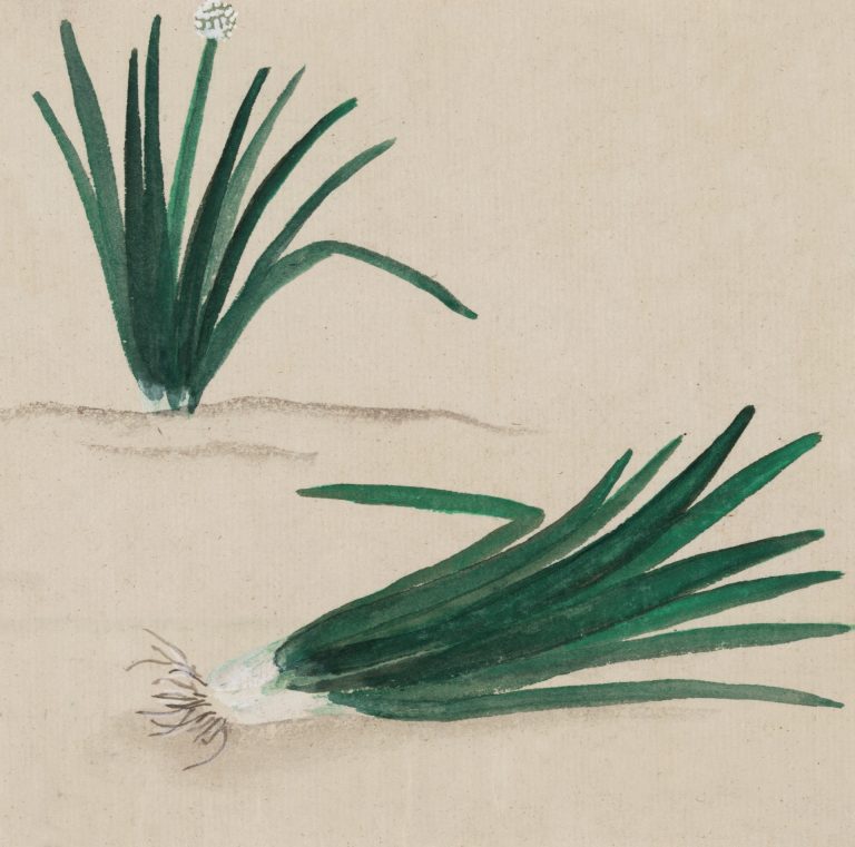 Wrapped Scallions