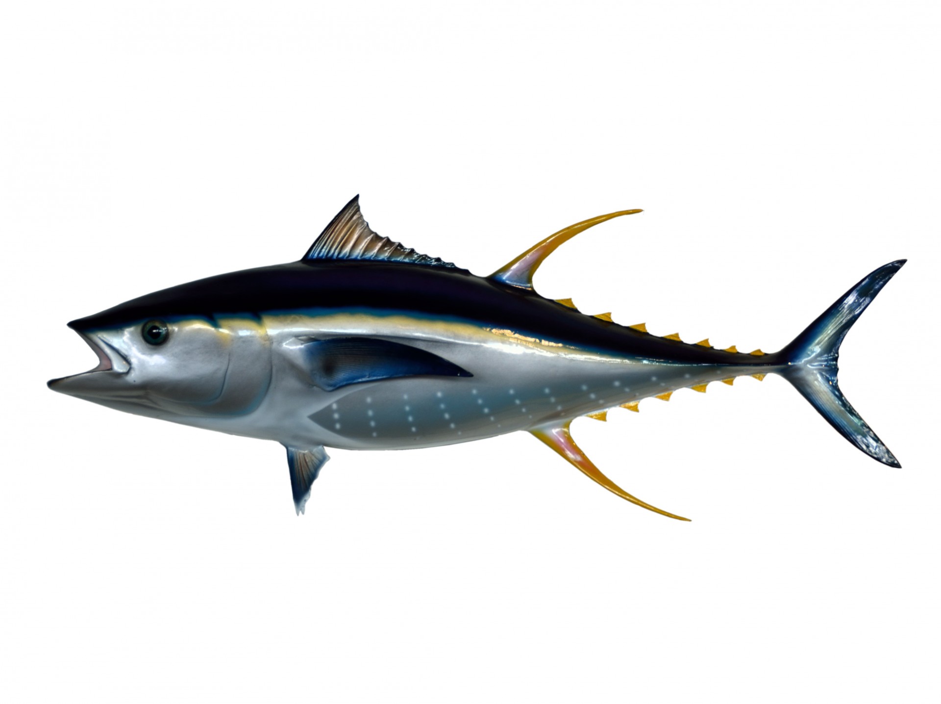 Davey's Broiled Yellowfin Tuna and Relish