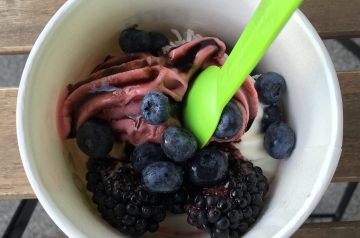 5 Minute Frozen  Yogurt With Fruit Variations