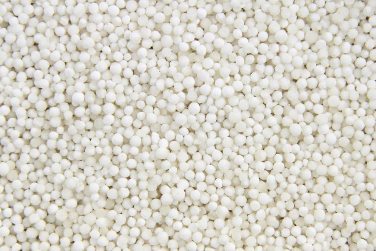 Tapioca Cream