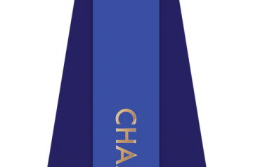 Blue Ribbon Beef Nachos