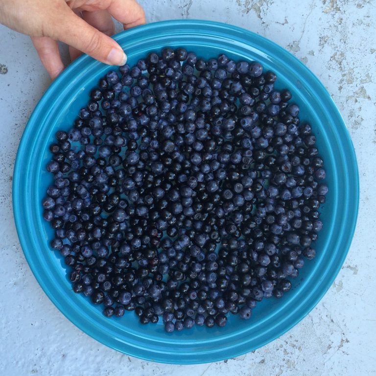 Blueberries and Cointreau