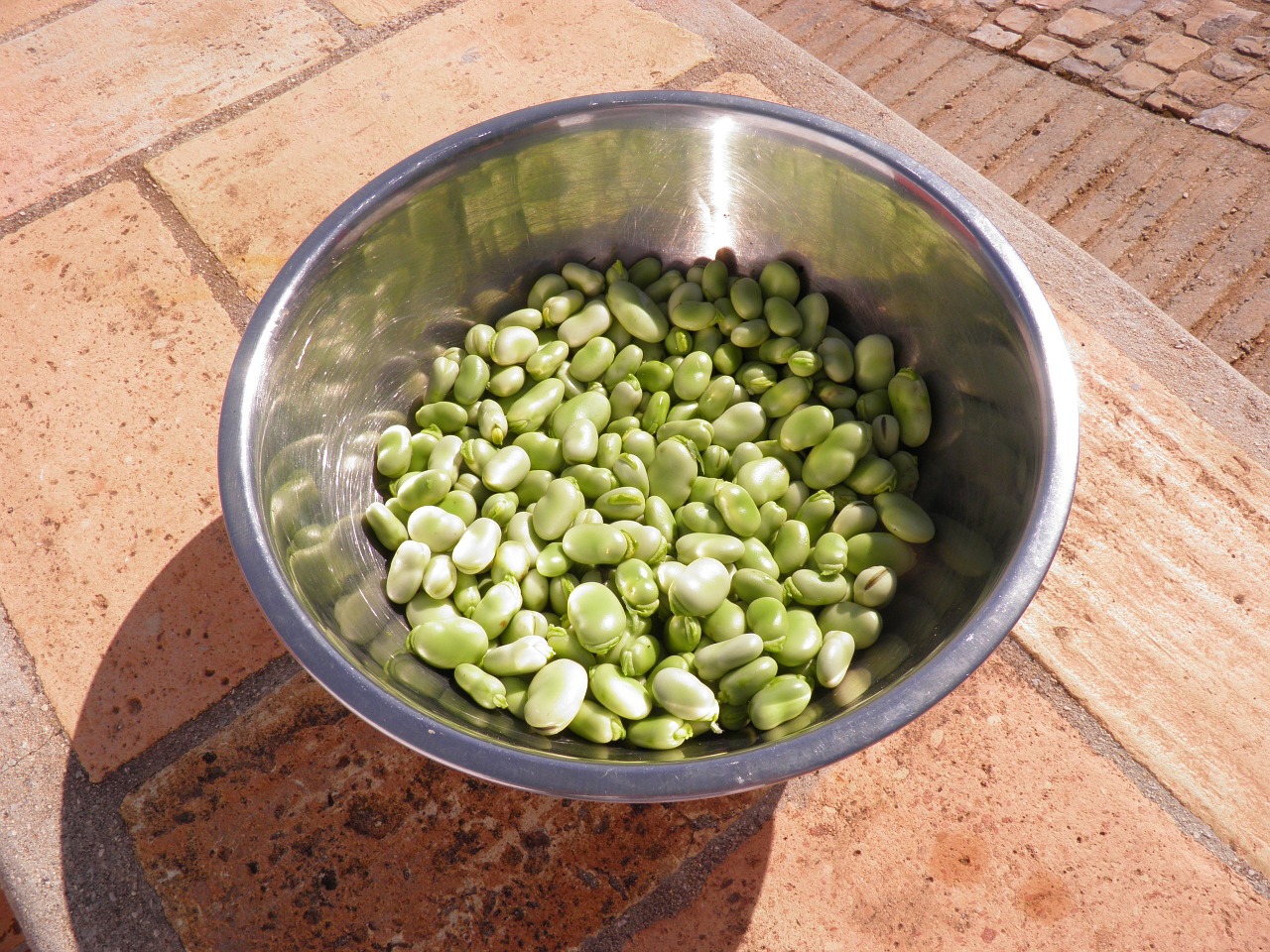 Baked Zucchini With Herbed Broad Beans