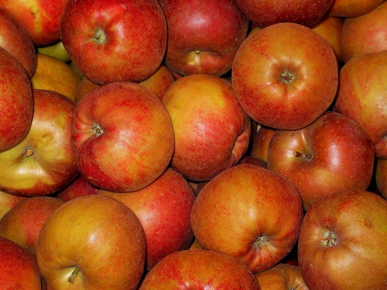 Apple Strudels