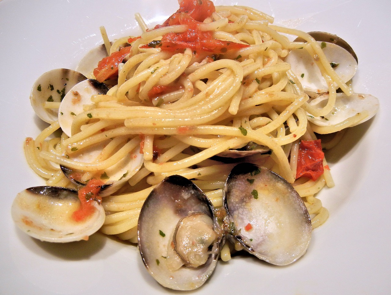 Clams With Tomato and Basil