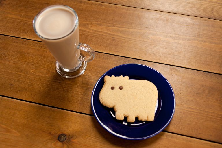 Breakfast Cookie