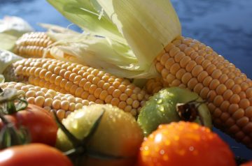 Corn and Tomatoes Tart