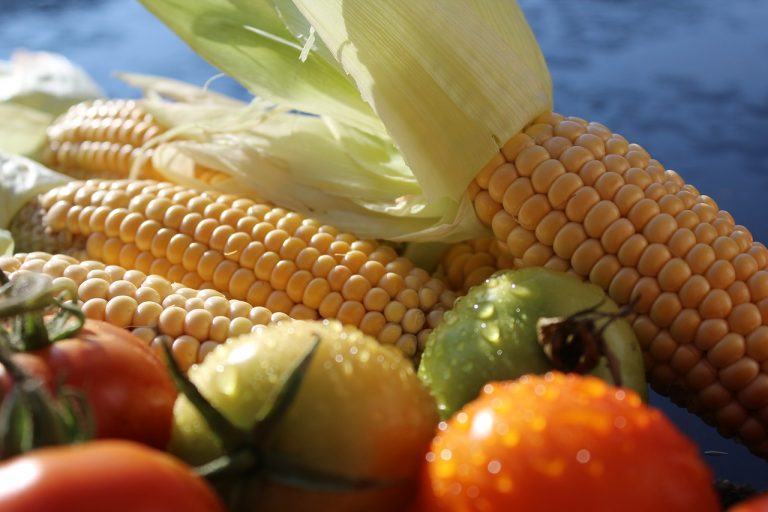 Corn and Tomatoes Tart