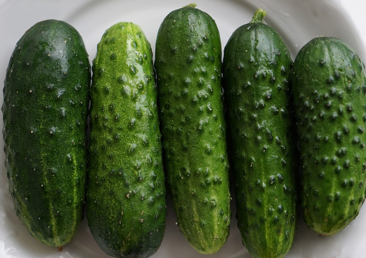 Creamy Minty Cucumbers