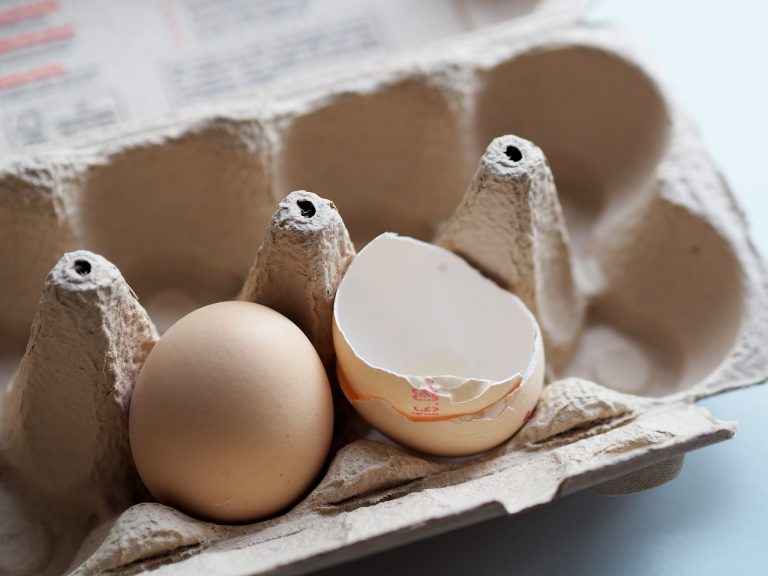 Brunch Egg Bake