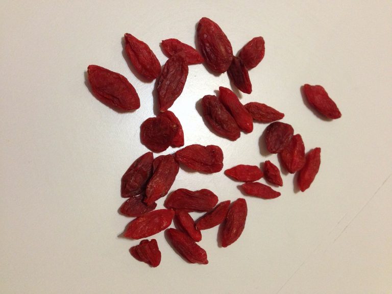 Goji Berry Energy Bar