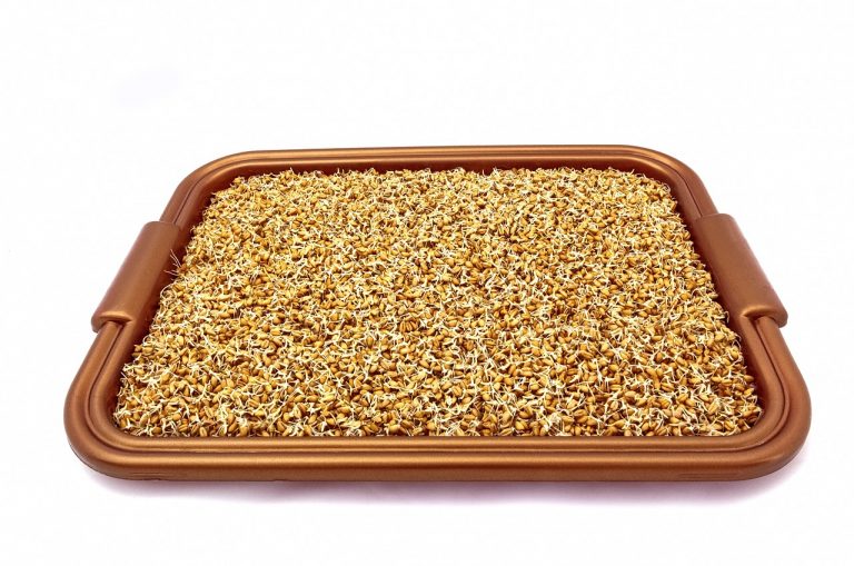 Mixed Grains