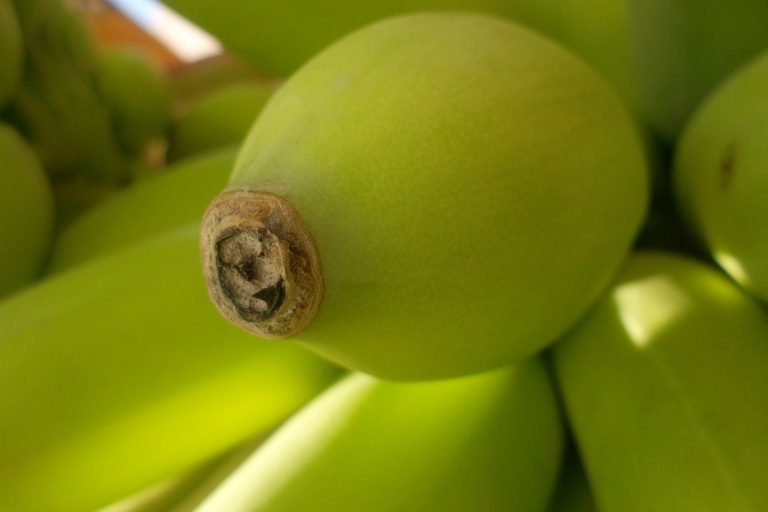 Kathy Dessert - Baked Bananas (Zwt II - Asia)