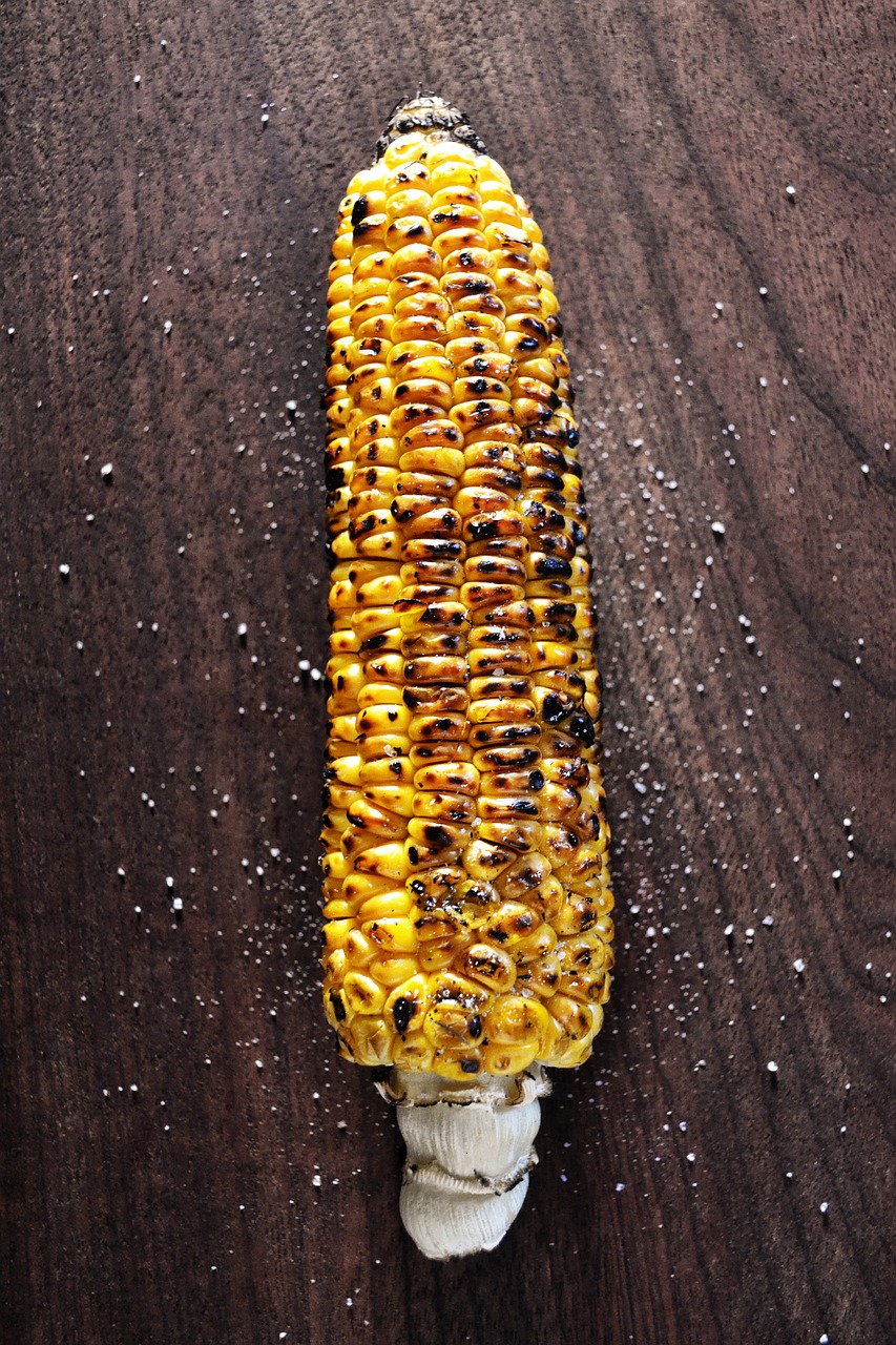 Grilled Corn With Creamy Chipotle Sauce