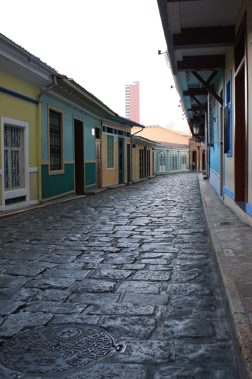 Camarones Guayaquil