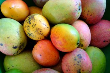 Mango Delight Smoothie