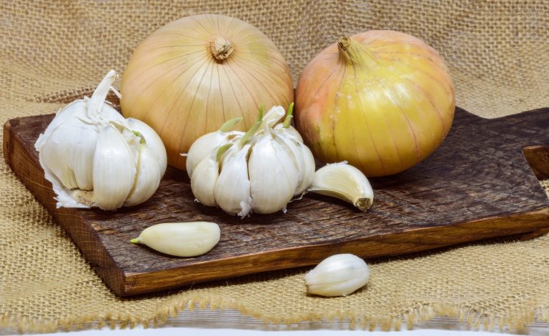 Garlic and Onion Burgers