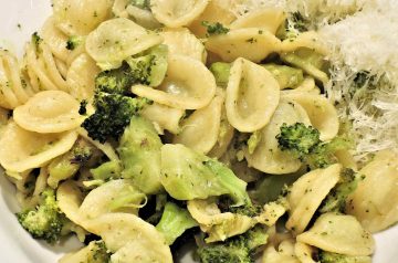 Orecchiette With Broccoli Sauce