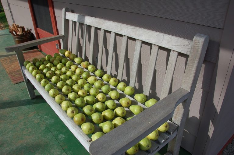 Glazed Pears