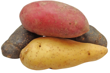 Blue Cheese Stuffed Fingerling Potatoes